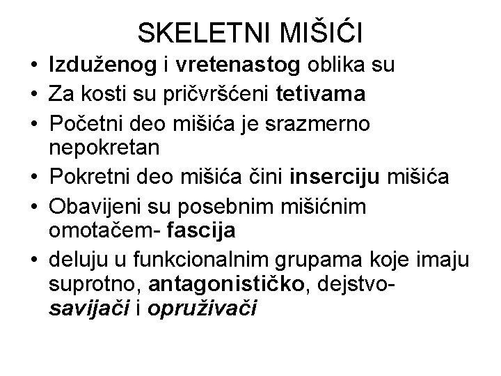 SKELETNI MIŠIĆI • Izduženog i vretenastog oblika su • Za kosti su pričvršćeni tetivama