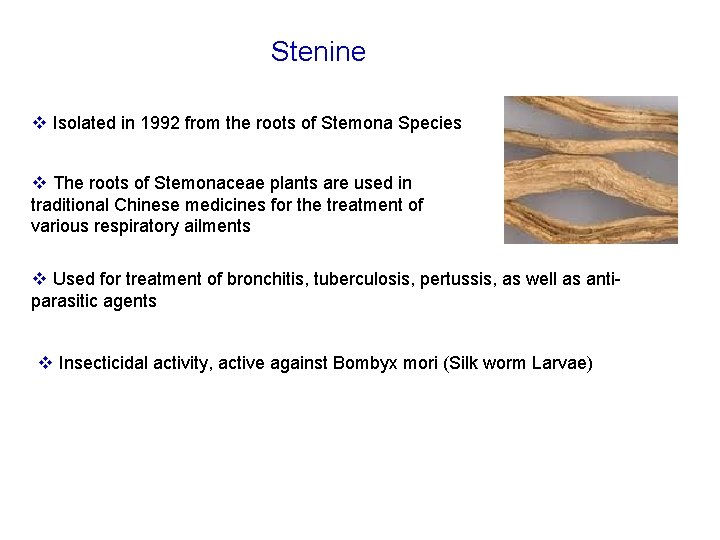 Stenine v Isolated in 1992 from the roots of Stemona Species v The roots
