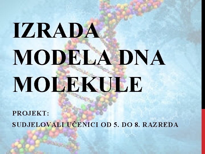 IZRADA MODELA DNA MOLEKULE PROJEKT: SUDJELOVALI UČENICI OD 5. DO 8. RAZREDA 