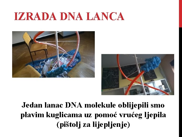 IZRADA DNA LANCA Jedan lanac DNA molekule oblijepili smo plavim kuglicama uz pomoć vrućeg