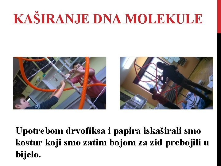 KAŠIRANJE DNA MOLEKULE Upotrebom drvofiksa i papira iskaširali smo kostur koji smo zatim bojom