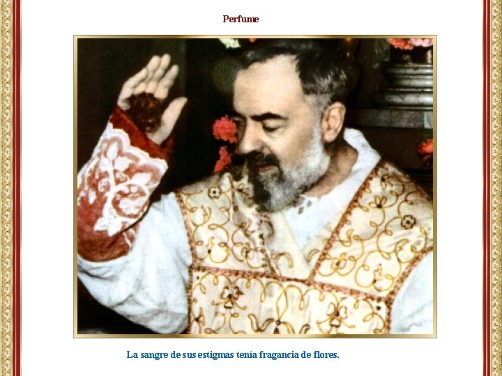 Perfume La sangre de sus estigmas tenía fragancia de flores. Perfume La sangre de sus estigmas tenía fragancia de flores.