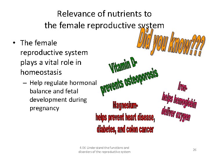 Relevance of nutrients to the female reproductive system • The female reproductive system plays