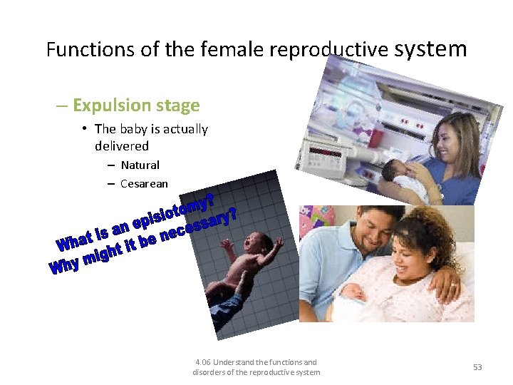 Functions of the female reproductive system – Expulsion stage • The baby is actually