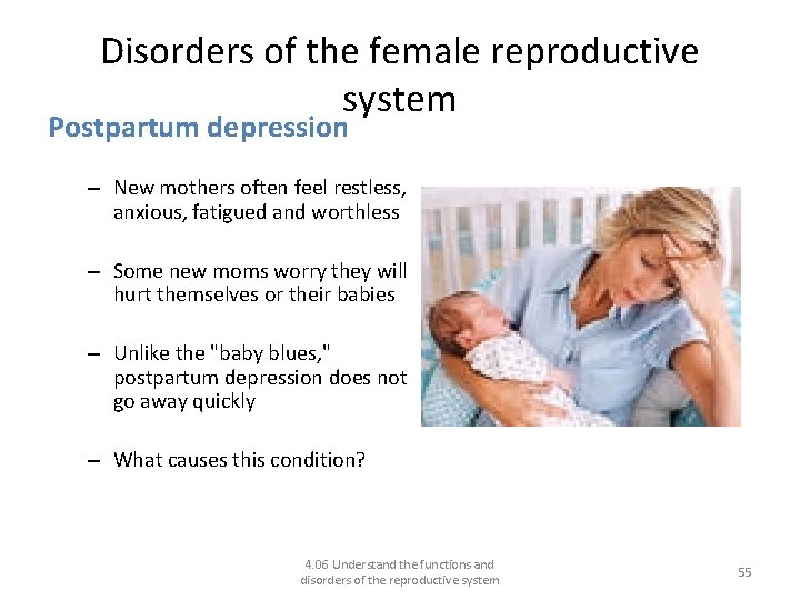 Disorders of the female reproductive system Postpartum depression – New mothers often feel restless,