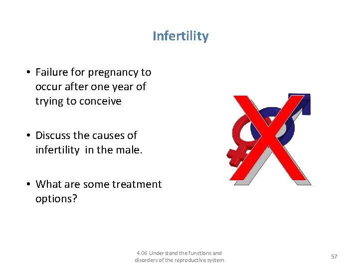 Disorders of the male reproductive system Infertility • Failure for pregnancy to occur after