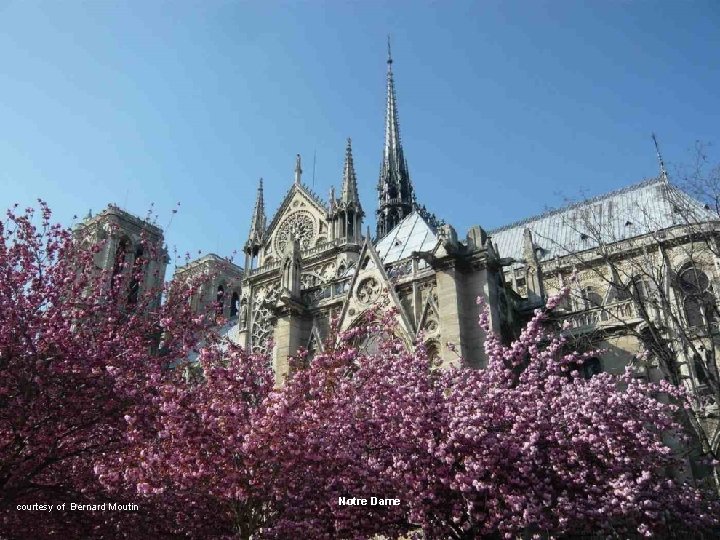 courtesy of Bernard Moutin Notre Dame 