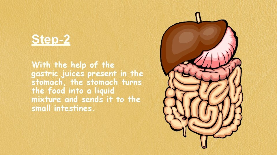Step-2 With the help of the gastric juices present in the stomach, the stomach