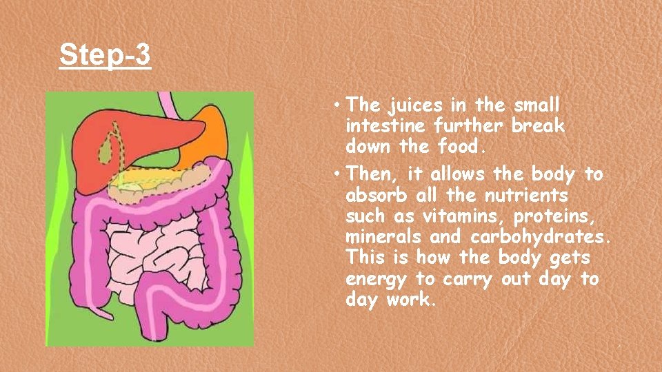 Step-3 • The juices in the small intestine further break down the food. •