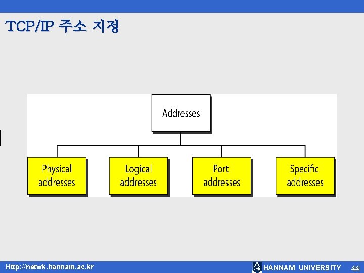 TCP/IP 주소 지정 Http: //netwk. hannam. ac. kr HANNAM UNIVERSITY 44 44 