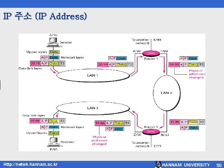 IP 주소 (IP Address) Http: //netwk. hannam. ac. kr HANNAM UNIVERSITY 50 50 