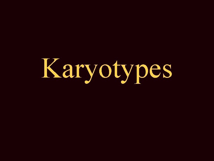 Karyotypes 