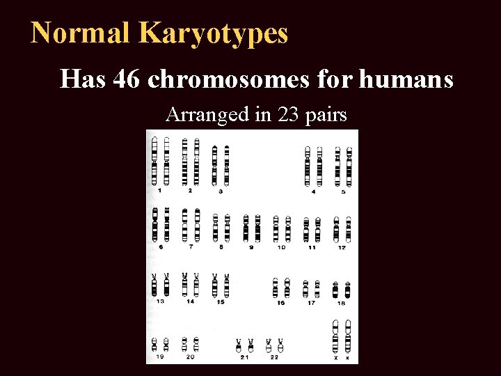 Normal Karyotypes Has 46 chromosomes for humans Arranged in 23 pairs 