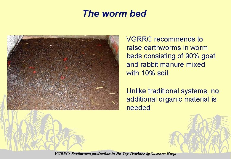 The worm bed VGRRC recommends to raise earthworms in worm beds consisting of 90%