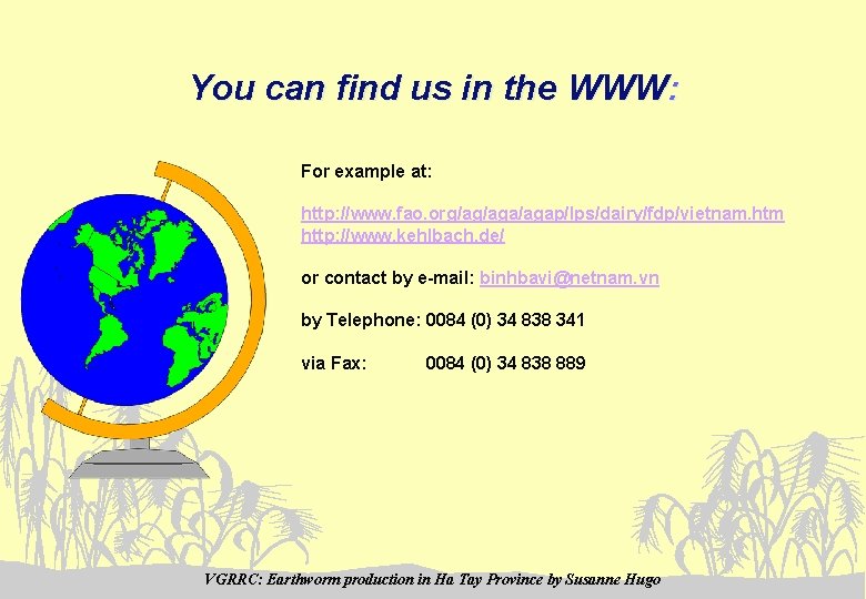 You can find us in the WWW: For example at: http: //www. fao. org/ag/agap/lps/dairy/fdp/vietnam.