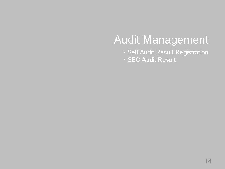 Audit Management · Self Audit Result Registration · SEC Audit Result 14 