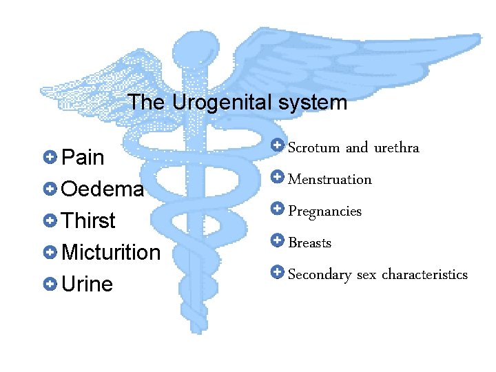 The Urogenital system Pain Oedema Thirst Micturition Urine Scrotum and urethra Menstruation Pregnancies Breasts