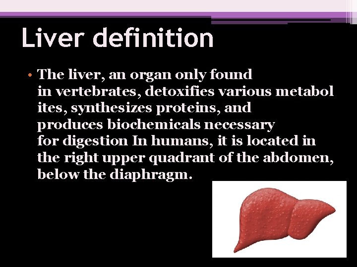 Liver definition • The liver, an organ only found in vertebrates, detoxifies various metabol