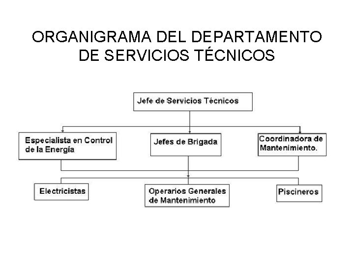 ORGANIGRAMA DEL DEPARTAMENTO DE SERVICIOS TÉCNICOS ORGANIGRAMA DEL DEPARTAMENTO DE SERVICIOS TÉCNICOS