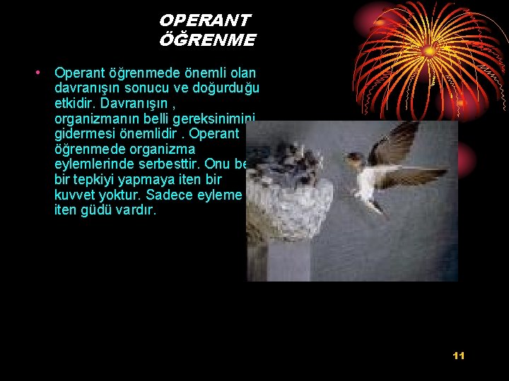 OPERANT ÖĞRENME • Operant öğrenmede önemli olan davranışın sonucu ve doğurduğu etkidir. Davranışın ,