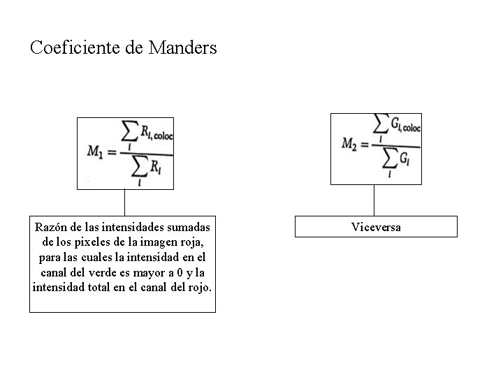 Coeficiente de Manders Razón de las intensidades sumadas de los pixeles de la imagen