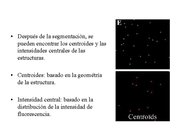  • Después de la segmentación, se pueden encontrar los centroides y las intensidades