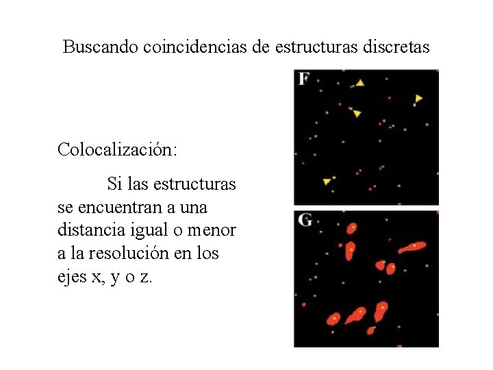 Buscando coincidencias de estructuras discretas Colocalización: Si las estructuras se encuentran a una distancia