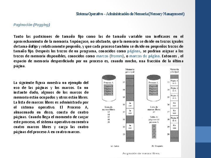 Sistema Operativo – Administración de Memoria (Memory Management) Paginación (Pagging) Tanto las particiones de