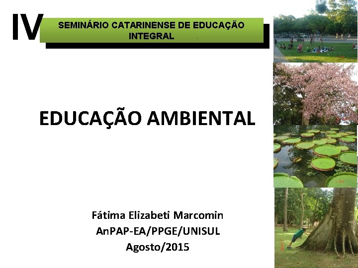 IV SEMINÁRIO CATARINENSE DE EDUCAÇÃO INTEGRAL EDUCAÇÃO AMBIENTAL Fátima Elizabeti Marcomin An. PAP-EA/PPGE/UNISUL Agosto/2015