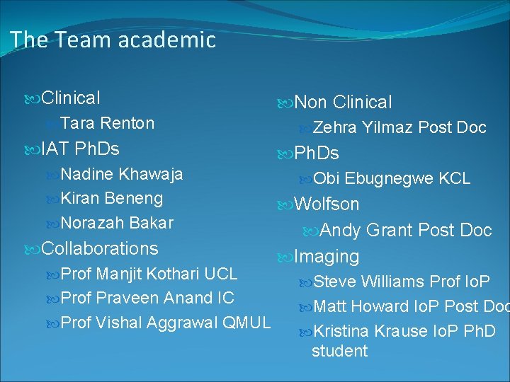 The Team academic Clinical Non Clinical Tara Renton Zehra Yilmaz Post Doc IAT Ph.