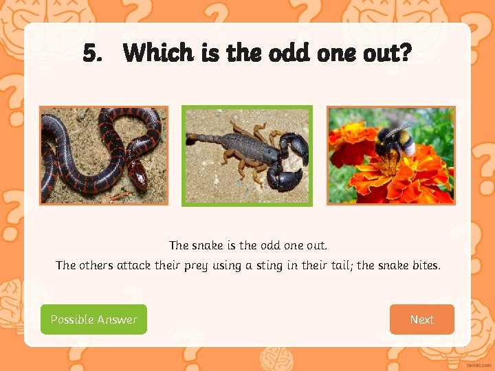 5. Which is the odd one out? The snake is the odd one out.