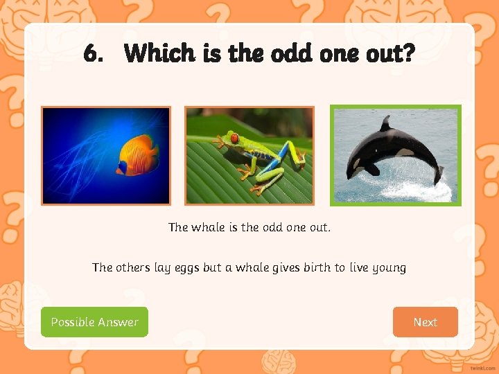 6. Which is the odd one out? The whale is the odd one out.