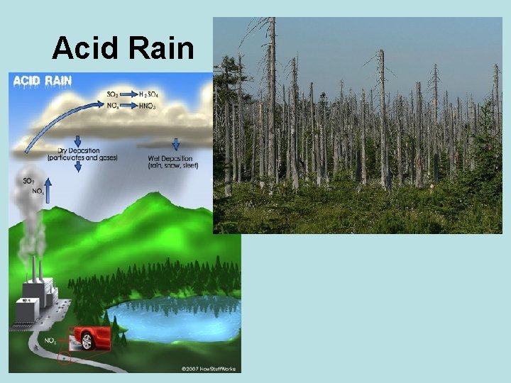 Acid Rain 