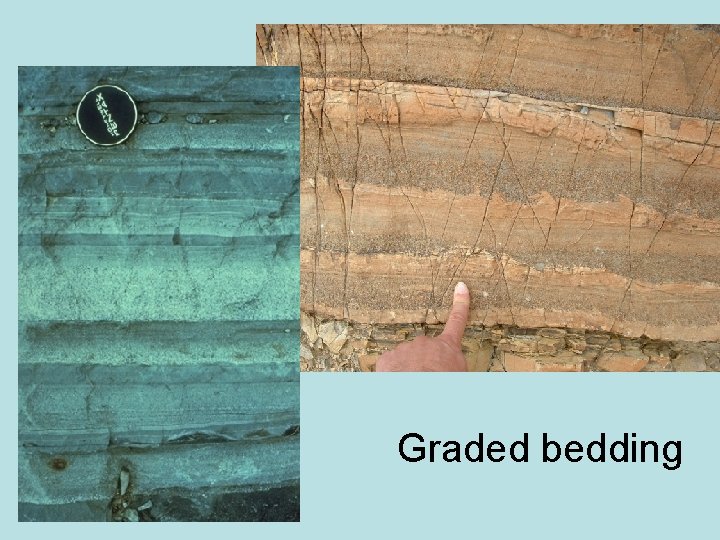 Graded bedding 