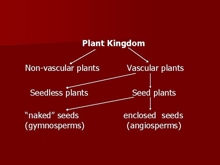 Plant Kingdom Non-vascular plants Seedless plants “naked” seeds (gymnosperms) Vascular plants Seed plants enclosed