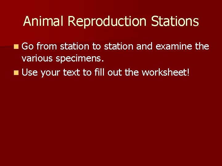 Animal Reproduction Stations n Go from station to station and examine the various specimens.