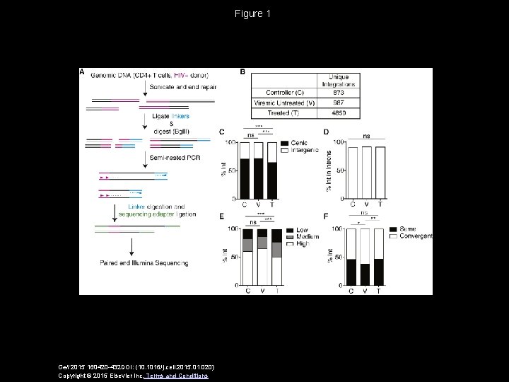 Figure 1 Cell 2015 160420 -432 DOI: (10. 1016/j. cell. 2015. 01. 020) Copyright