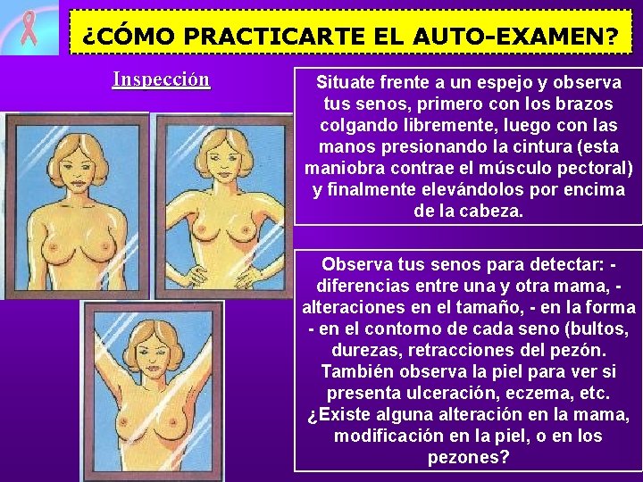 ¿CÓMO PRACTICARTE EL AUTO-EXAMEN? Inspección Situate frente a un espejo y observa tus senos,