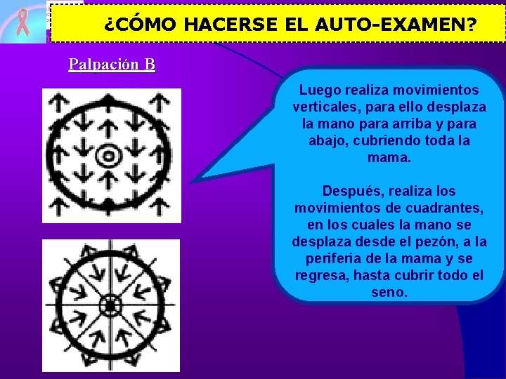 Saúde em tempo real ¿CÓMO HACERSE EL AUTO-EXAMEN? Palpación B Luego realiza movimientos verticales,