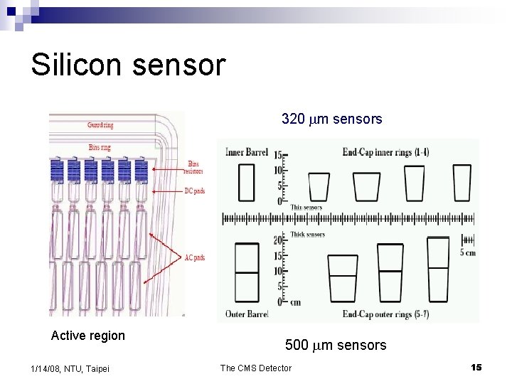 Silicon sensor 320 mm sensors Active region 1/14/08, NTU, Taipei 500 mm sensors The