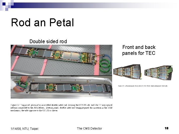 Rod an Petal Double sided rod Front and back panels for TEC 1/14/08, NTU,