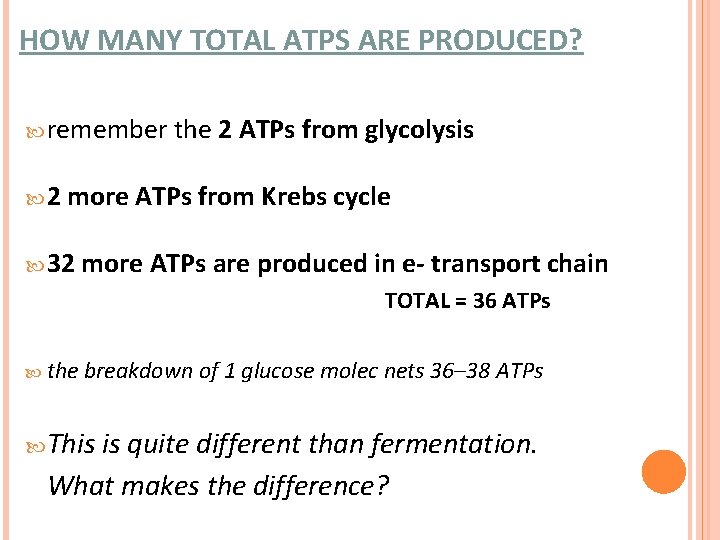 HOW MANY TOTAL ATPS ARE PRODUCED? remember 2 the 2 ATPs from glycolysis more HOW MANY TOTAL ATPS ARE PRODUCED? remember 2 the 2 ATPs from glycolysis more