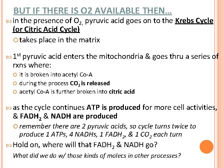 BUT IF THERE IS O 2 AVAILABLE THEN… in the presence of O 2, BUT IF THERE IS O 2 AVAILABLE THEN… in the presence of O 2,