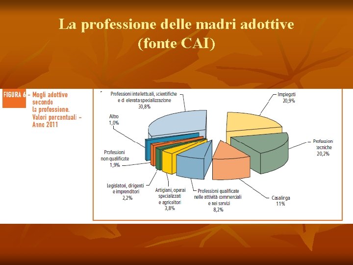 La professione delle madri adottive (fonte CAI) 