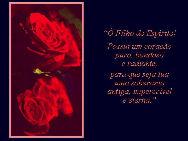 “Ó Filho do Espírito! Possui um coração puro, bondoso e radiante, para que seja