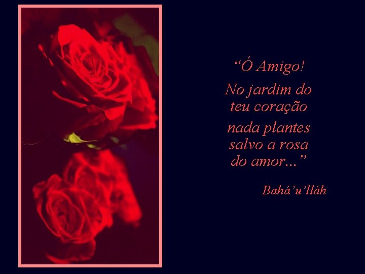 “Ó Amigo! No jardim do teu coração nada plantes salvo a rosa do amor.