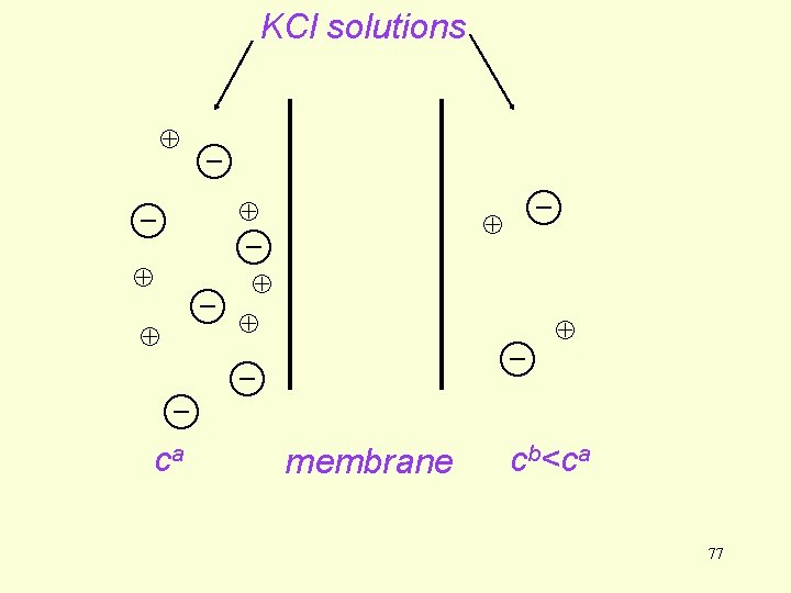 KCl solutions ca membrane cb<ca 77 KCl solutions ca membrane cb<ca 77