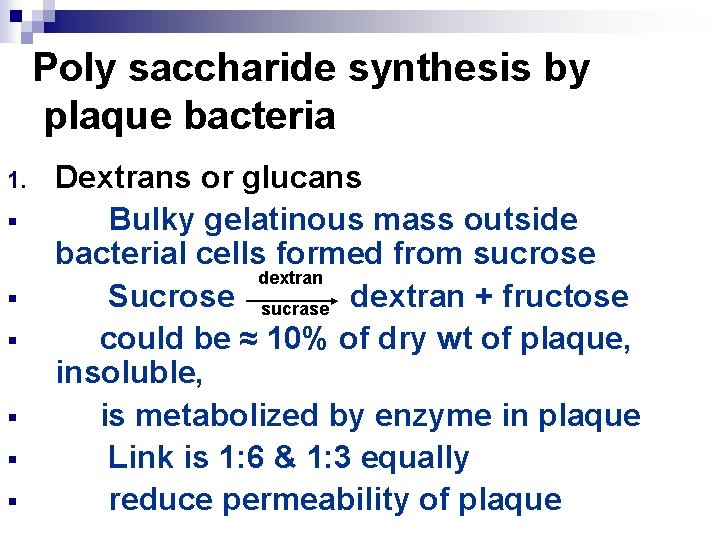 Poly saccharide synthesis by plaque bacteria 1. § § § Dextrans or glucans Bulky