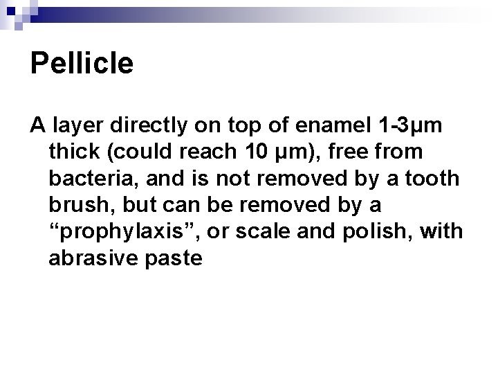 Pellicle A layer directly on top of enamel 1 -3μm thick (could reach 10