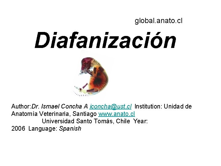 global. anato. cl Diafanización Author: Dr. Ismael Concha A iconcha@ust. cl Institution: Unidad de Anatomía